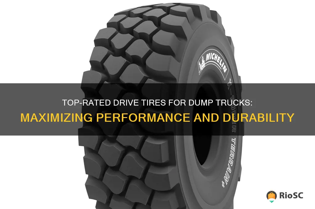 best drive tires for dump truck