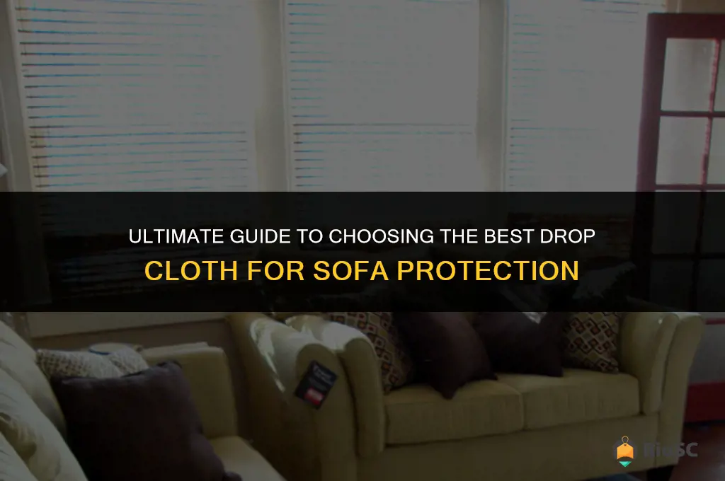 best drop cloth for sofa