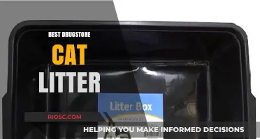 Top Drugstore Cat Litter Options: Affordable and Effective Choices for Your Feline Friend