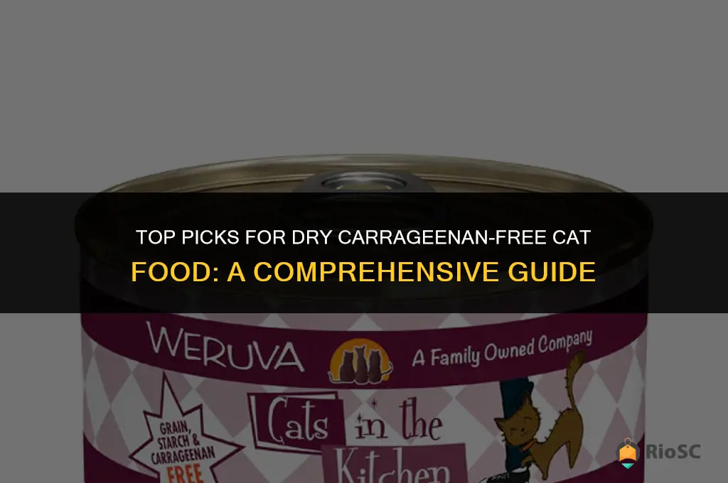 best dry carrageenan free cat food