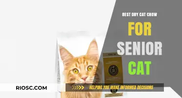 Top Picks for Senior Cats: The Best Dry Cat Chow to Keep Your Aging Feline Healthy and Happy
