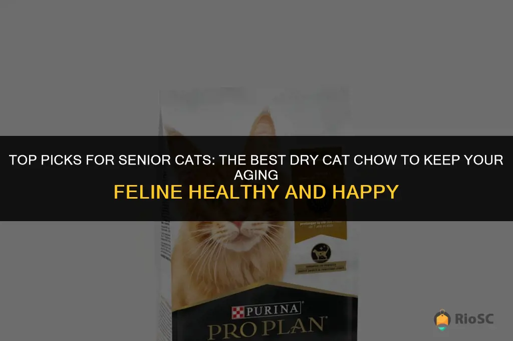best dry cat chow for senior cat