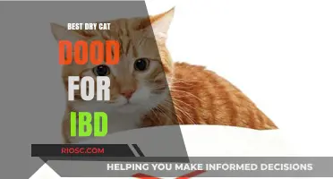 Top Picks for Dry Cat Food to Manage IBD: A Comprehensive Guide