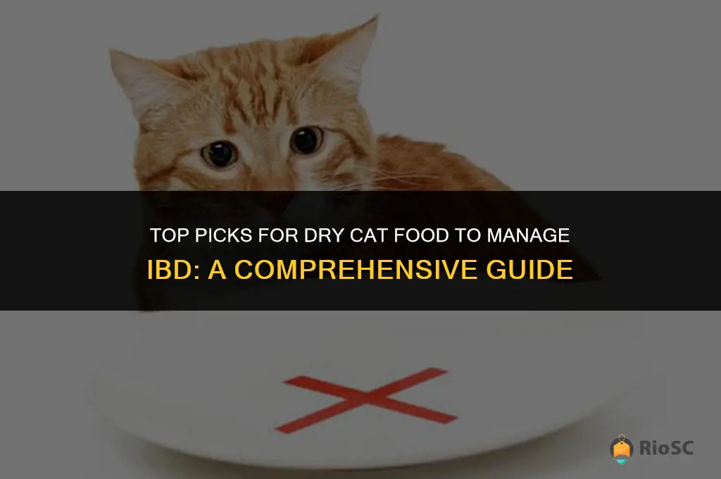 best dry cat dood for ibd