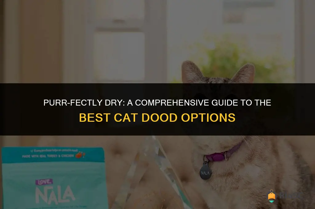 best dry cat dood