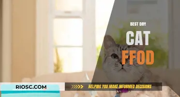 Top Picks for Your Feline Friend: The Best Dry Cat Food Options