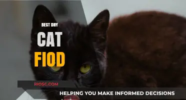 Top Picks for Your Feline Friend: The Best Dry Cat Foods of 2024