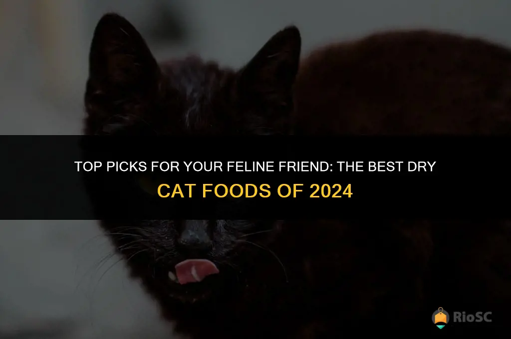 best dry cat fiod