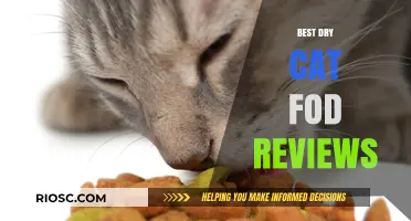 Top-Rated Dry Cat Food: A Comprehensive Review of the Best Options for Your Feline Friend