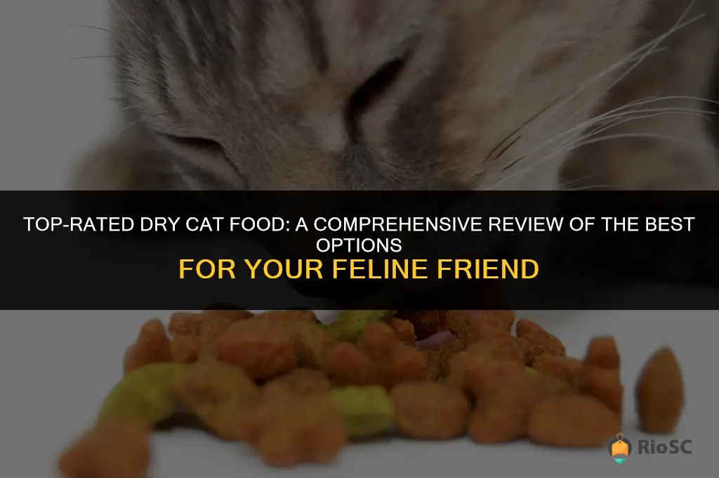 best dry cat fod reviews