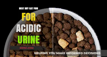 Top Picks for Dry Cat Food to Help Manage Acidic Urine