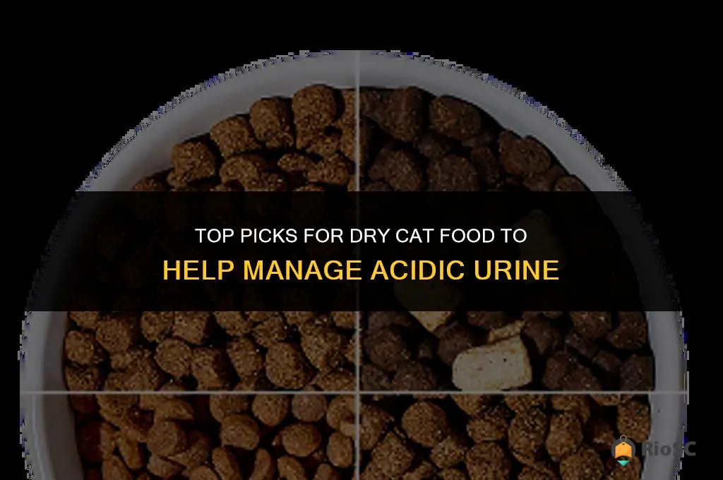 best dry cat foid for acidic urine