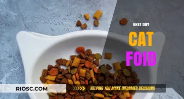 Top Picks for Your Feline Friend: The Best Dry Cat Foods of 2024