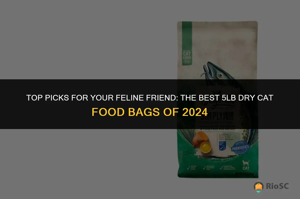 best dry cat food 5lb bag