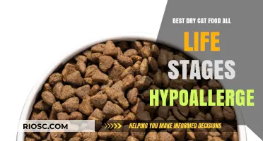 Top Hypoallergenic Dry Cat Food for All Life Stages: A Comprehensive Guide