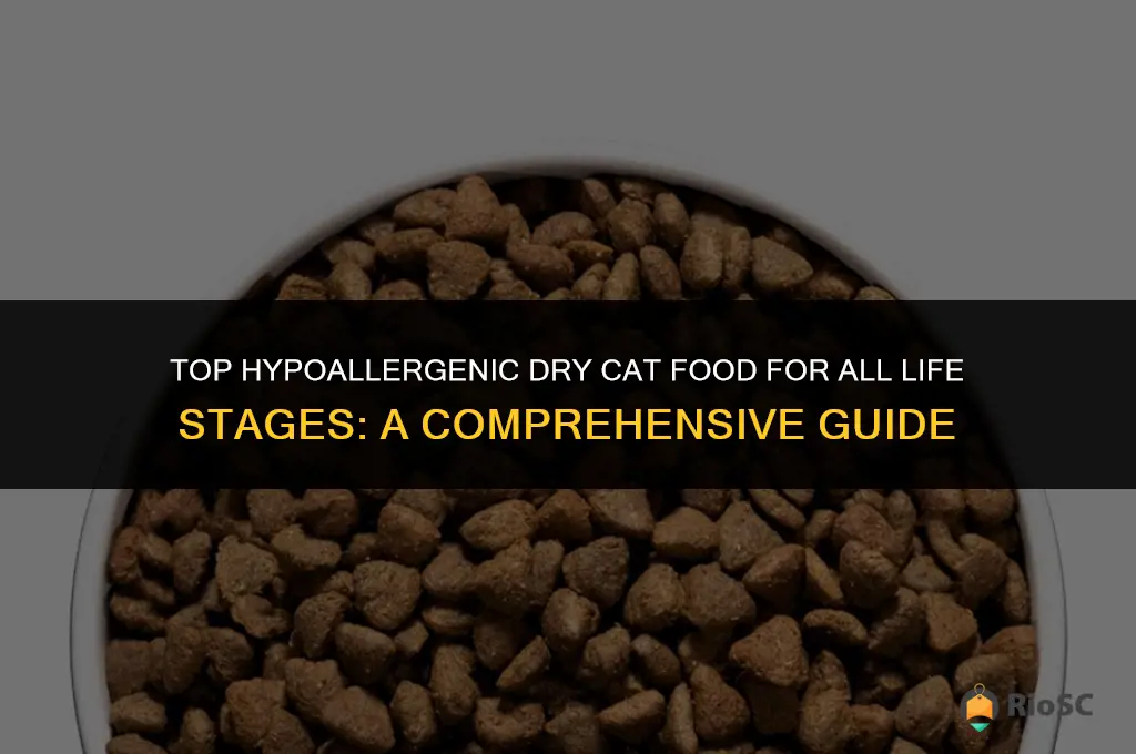 best dry cat food all life stages hypoallergenic