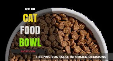 Top Picks for Your Feline Friend: The Best Dry Cat Food Bowls of 2024