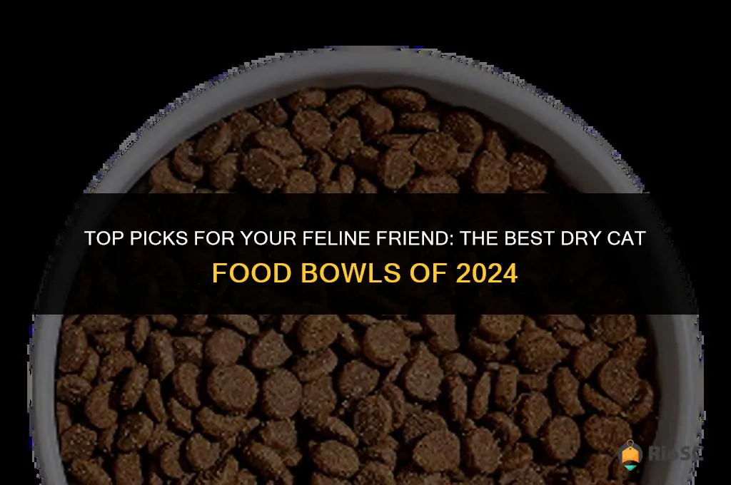 best dry cat food bowl