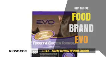 Exploring the Evo Brand: A Top Contender in the Dry Cat Food Market