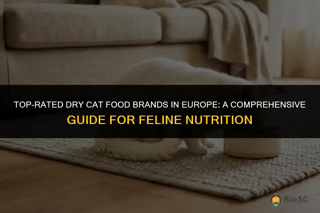 best dry cat food brands europe