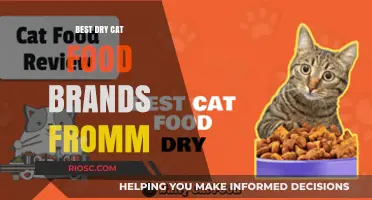 Top-Rated Dry Cat Food Brands: A Comprehensive Guide for Feline Nutrition