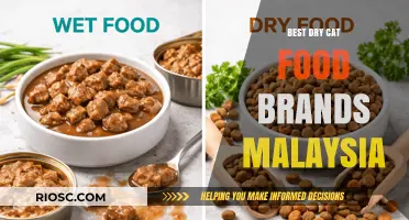 Top-Rated Dry Cat Food Brands in Malaysia: A Comprehensive Guide for Feline Nutrition