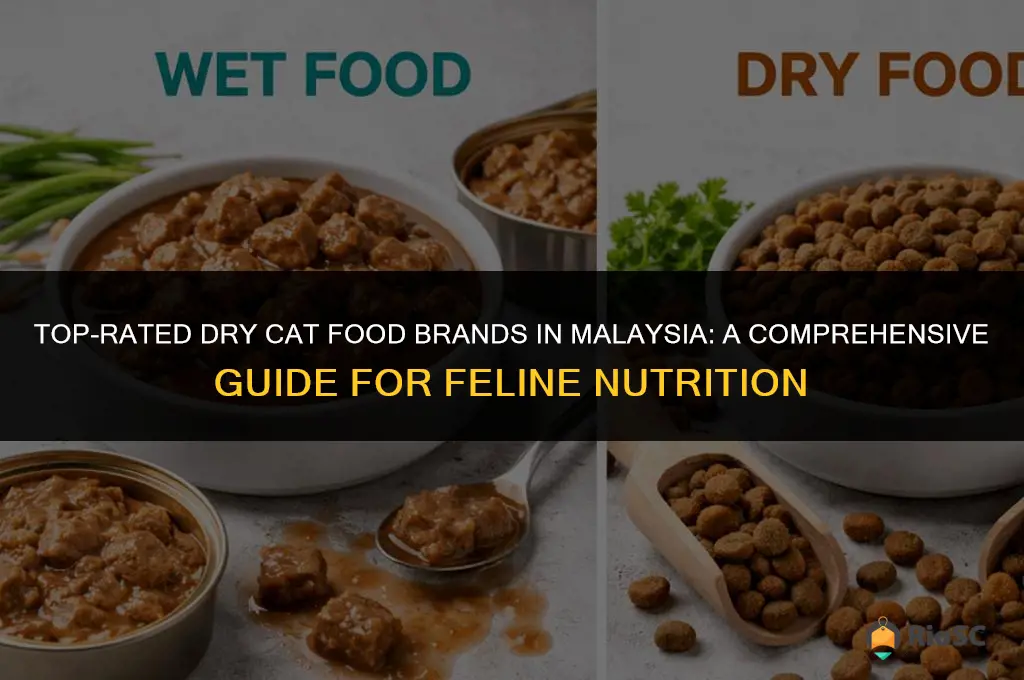 best dry cat food brands malaysia