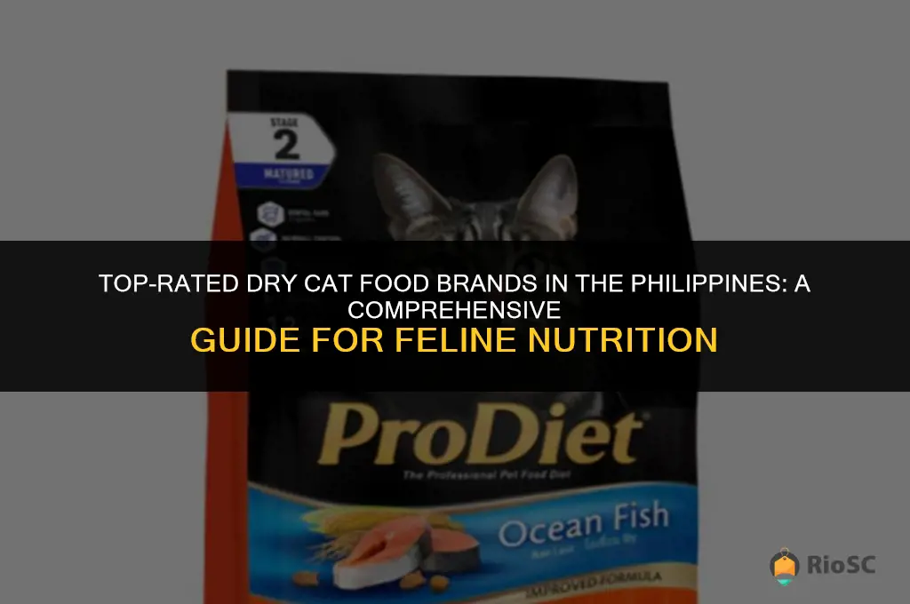 best dry cat food brands philippines