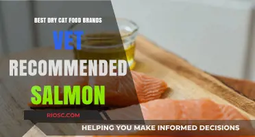 Top Vet-Recommended Salmon Dry Cat Food Brands: A Comprehensive Guide for Pet Owners