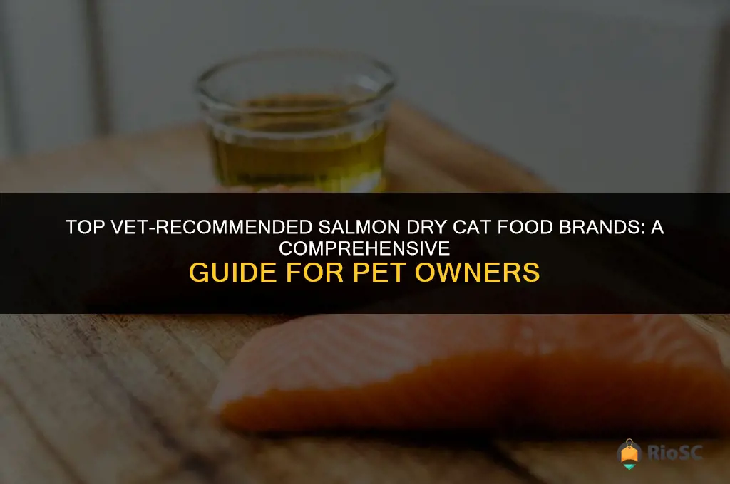 best dry cat food brands vet recommended salmon