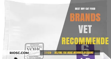 Top Vet-Recommended Dry Cat Food Brands for Optimal Feline Health