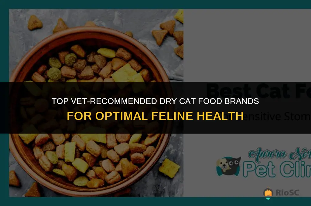 best dry cat food brands vet recommended