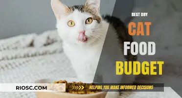 Affordable Nutrition: Top Budget-Friendly Dry Cat Food Options