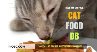 Top Picks for Your Feline Friend: The Best Dry Cat Food Options Reviewed