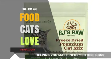 Purr-fectly Nutritious: The Top Dry Cat Food Picks Your Feline Friends Will Adore