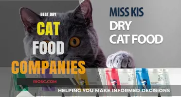 Top-Rated Dry Cat Food Brands: A Comprehensive Guide for Feline Nutrition