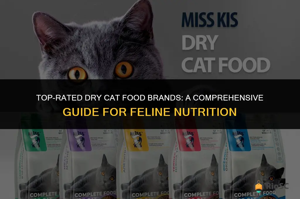 best dry cat food companies