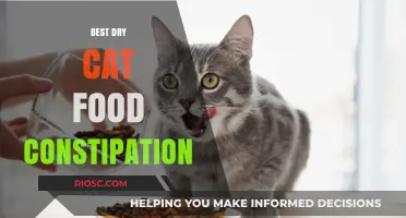 Top Dry Cat Food Options for Constipation Relief