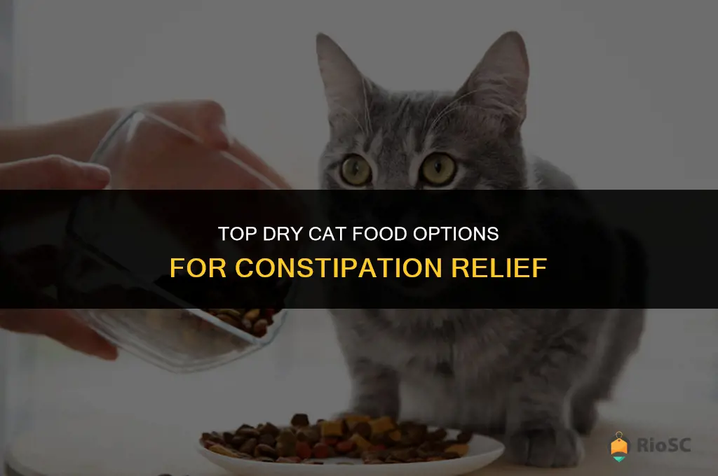 best dry cat food constipation