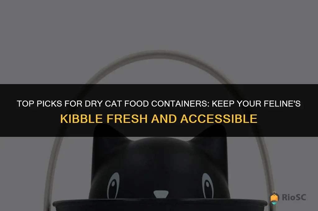 best dry cat food container