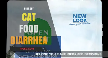 Top Picks for Sensitive Stomachs: The Best Dry Cat Food to Ease Diarrhea