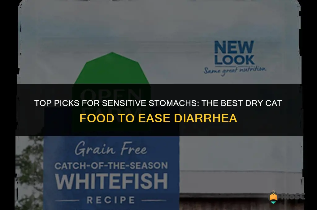 best dry cat food diarrhea