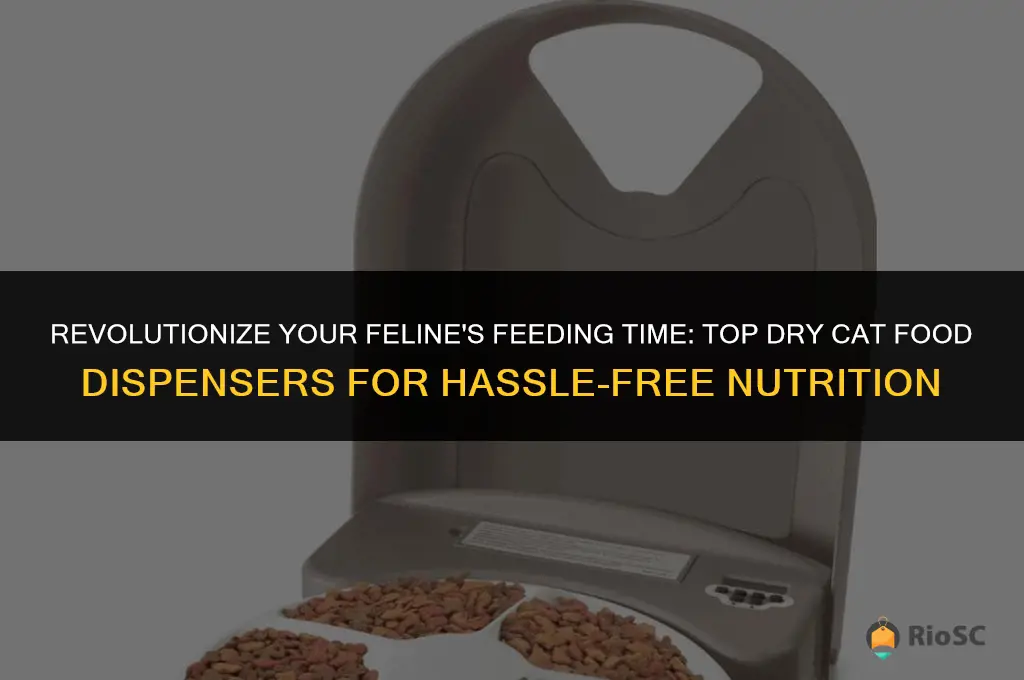 best dry cat food dispenser
