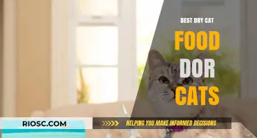 Purr-fect Nutrition: Unveiling the Best Dry Cat Food Options for Your Feline Friend