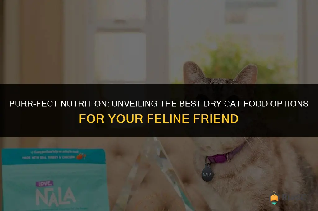 best dry cat food dor cats