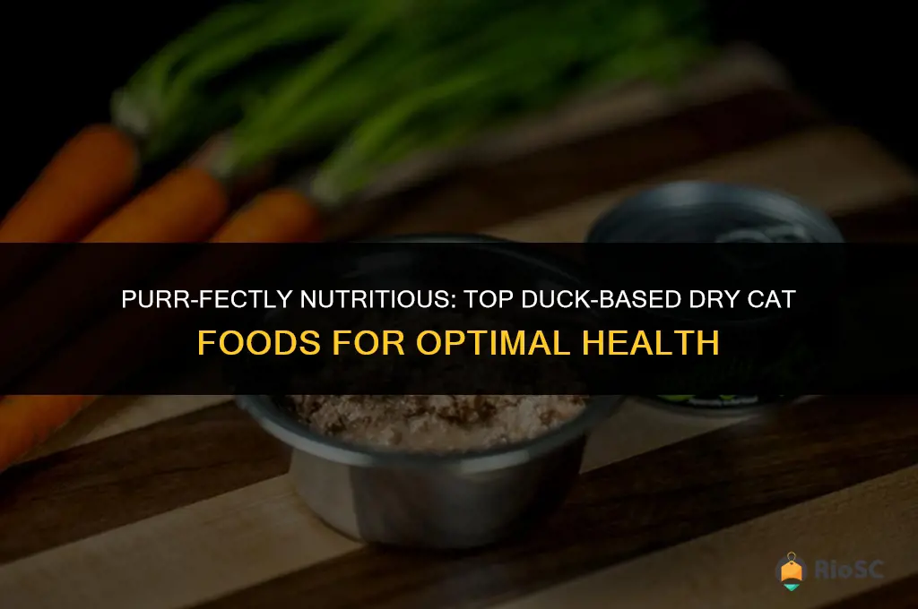 best dry cat food duck