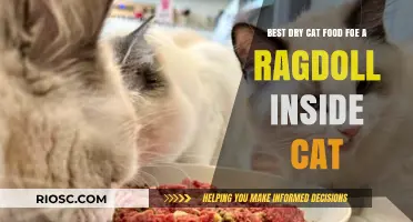 Top Picks for the Best Dry Cat Food for Your Indoor Ragdoll Companion