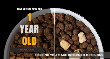 Top Picks for Your Feline Friend: Best Dry Cat Food for 1-Year-Old Cats