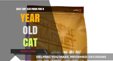 Top Picks for Your Feline Friend: The Best Dry Cat Food for Senior Cats Aged 8 and Above