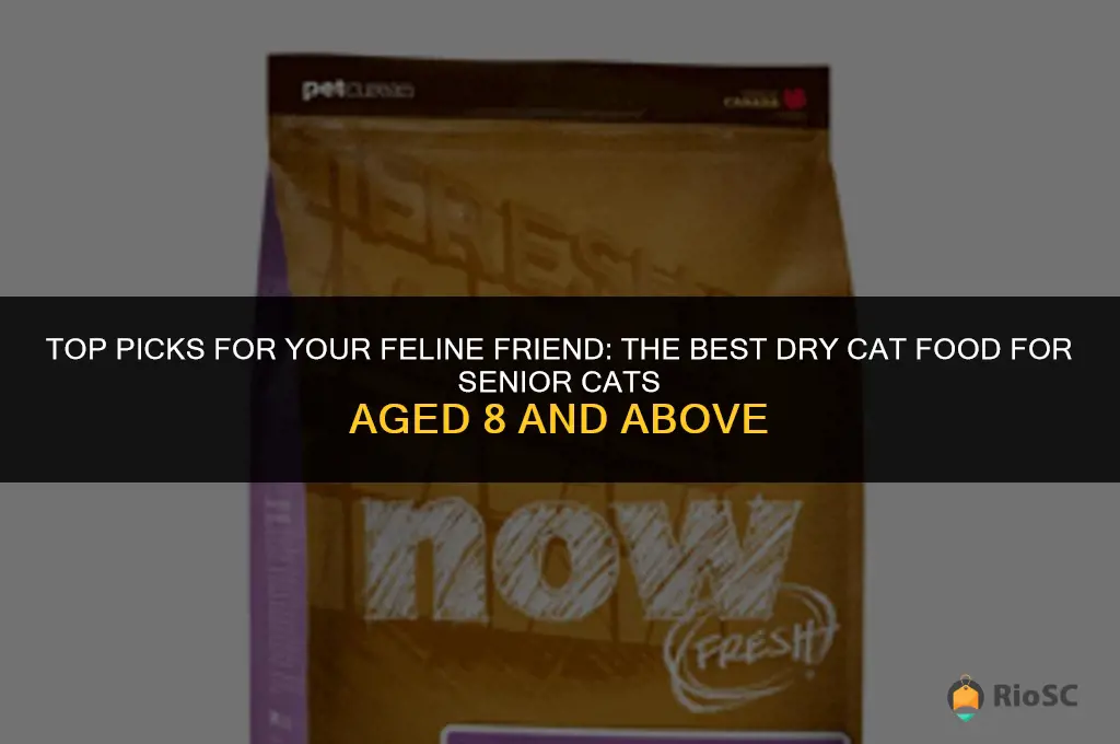 best dry cat food for 8 year old cat